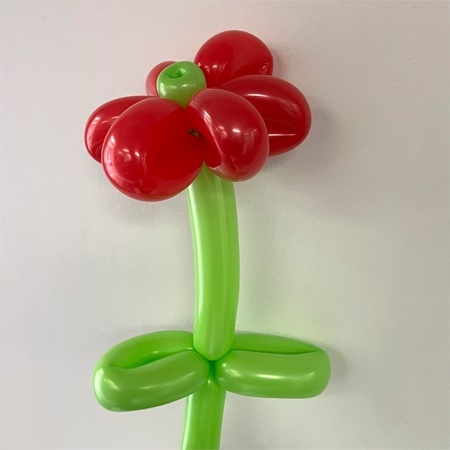 [1] Standard Balloon Flower
