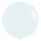  24" Fashion White with Hi Float