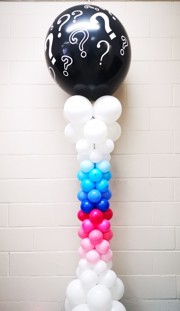 Outdoor Ombre Gender Reveal Column Question Marks