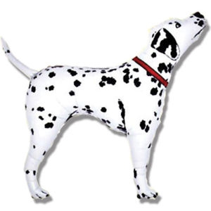 Shape - Dalmation